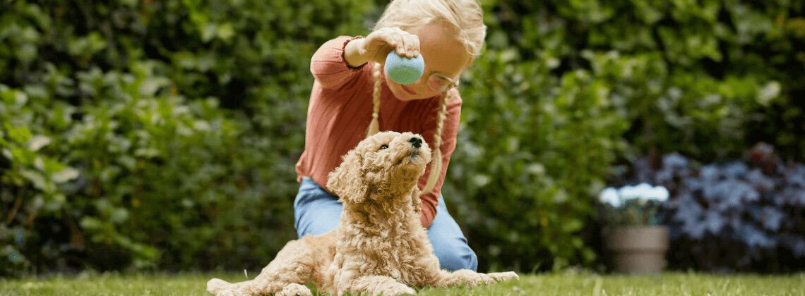 [paste advice page name here]